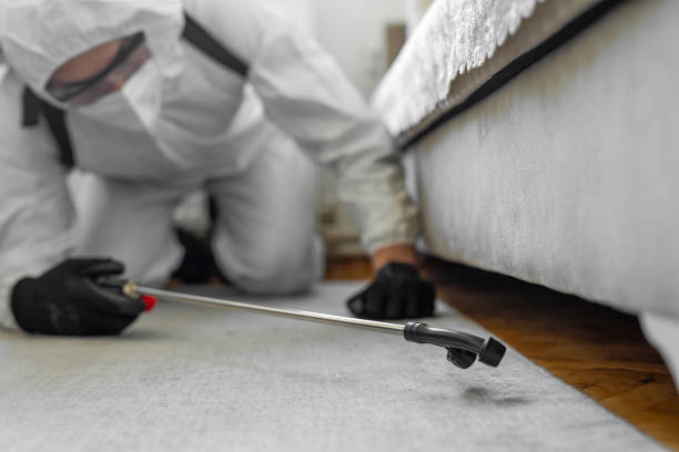 Professional Termite Control technician working in Ohatchee, AL