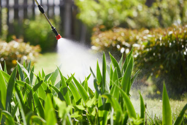 24/7 Emergency Termite Control experts in Ohatchee, AL