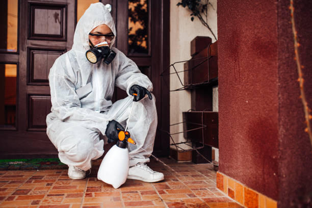 Reliable Termite Control contractor in Ohatchee, AL by Nex Pest Control
