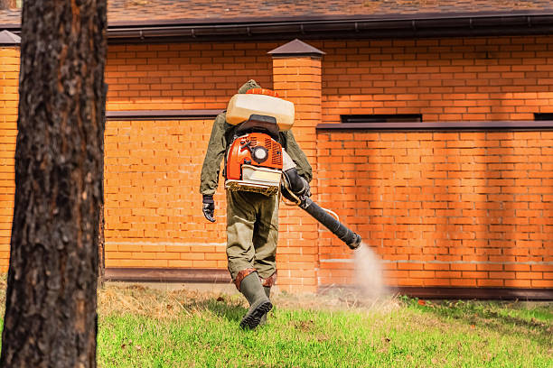 Top rated local Termite Control specialists in Ohatchee, AL